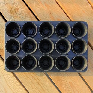 塑料多肉花盆圆形迷你万象盆小号带托盘拇指盆特小控根育苗盆包邮