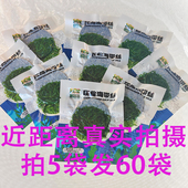 压缩海带丝干货小包装 凉拌下饭菜即食泡发一袋约泡发一盘方便食用
