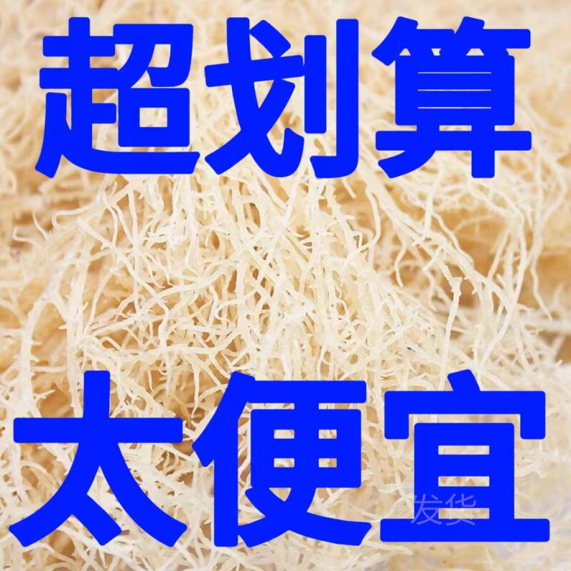 盐渍龙须菜500克半干货海石花石
