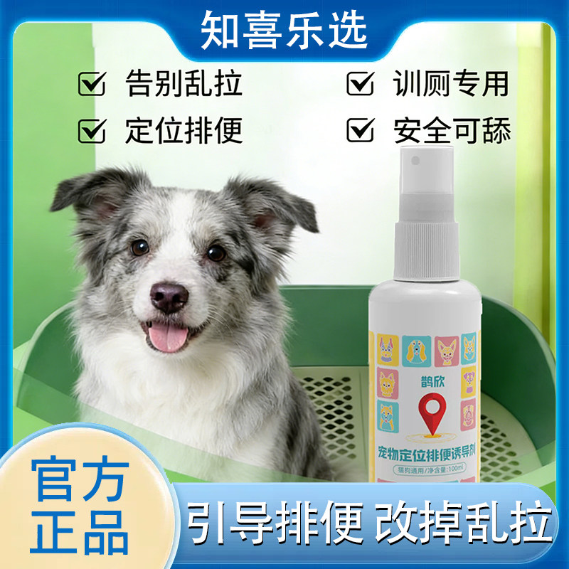 鹊欣狗狗定点如厕诱导喷剂
