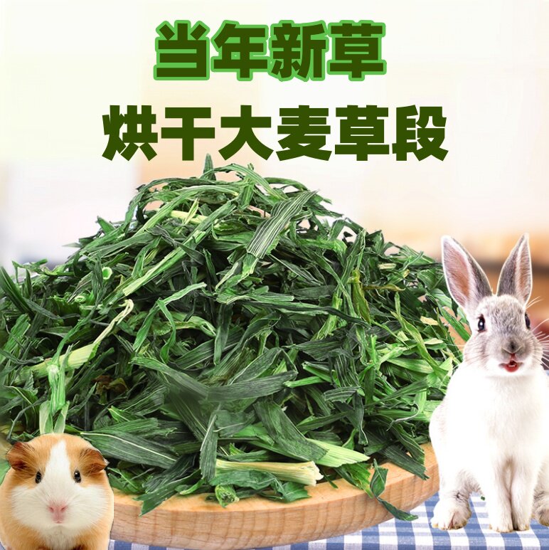 荷兰猪牧草兔草大麦草段干草小麦草豚鼠食物燕麦草磨牙草（60克）
