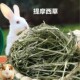 提摩西草兔牧草豚鼠干草荷兰猪草食兔草饲料零食兔零食南提200克