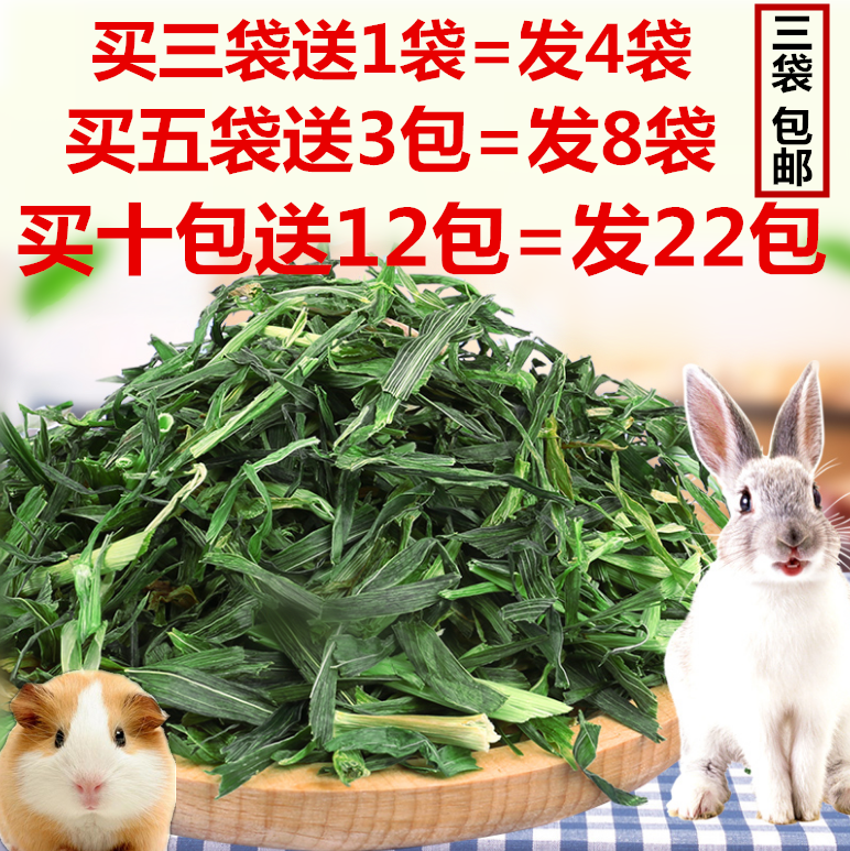 荷兰猪牧草兔草大麦草段干草小麦草豚鼠食物燕麦草磨牙草（60克）