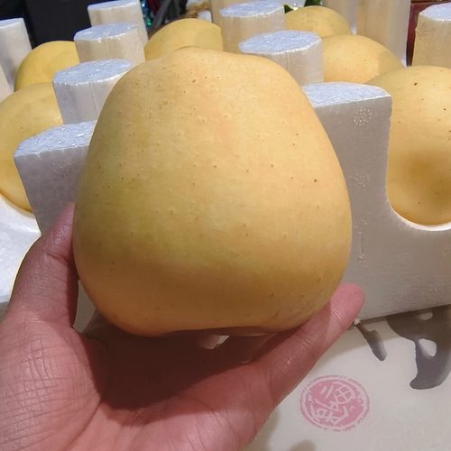 老憨青岛青苹果脆甜多汁