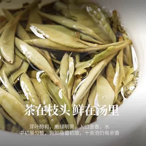白茶福鼎高山雪后甘甜春茶鲜香2024年一级花香茶白牡丹源头