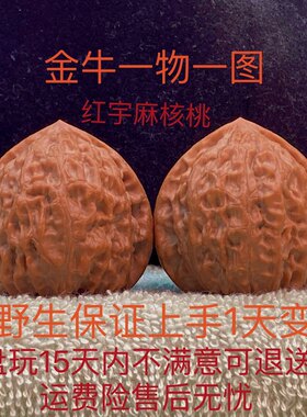 文玩老树金牛精品野生红皮麻核桃