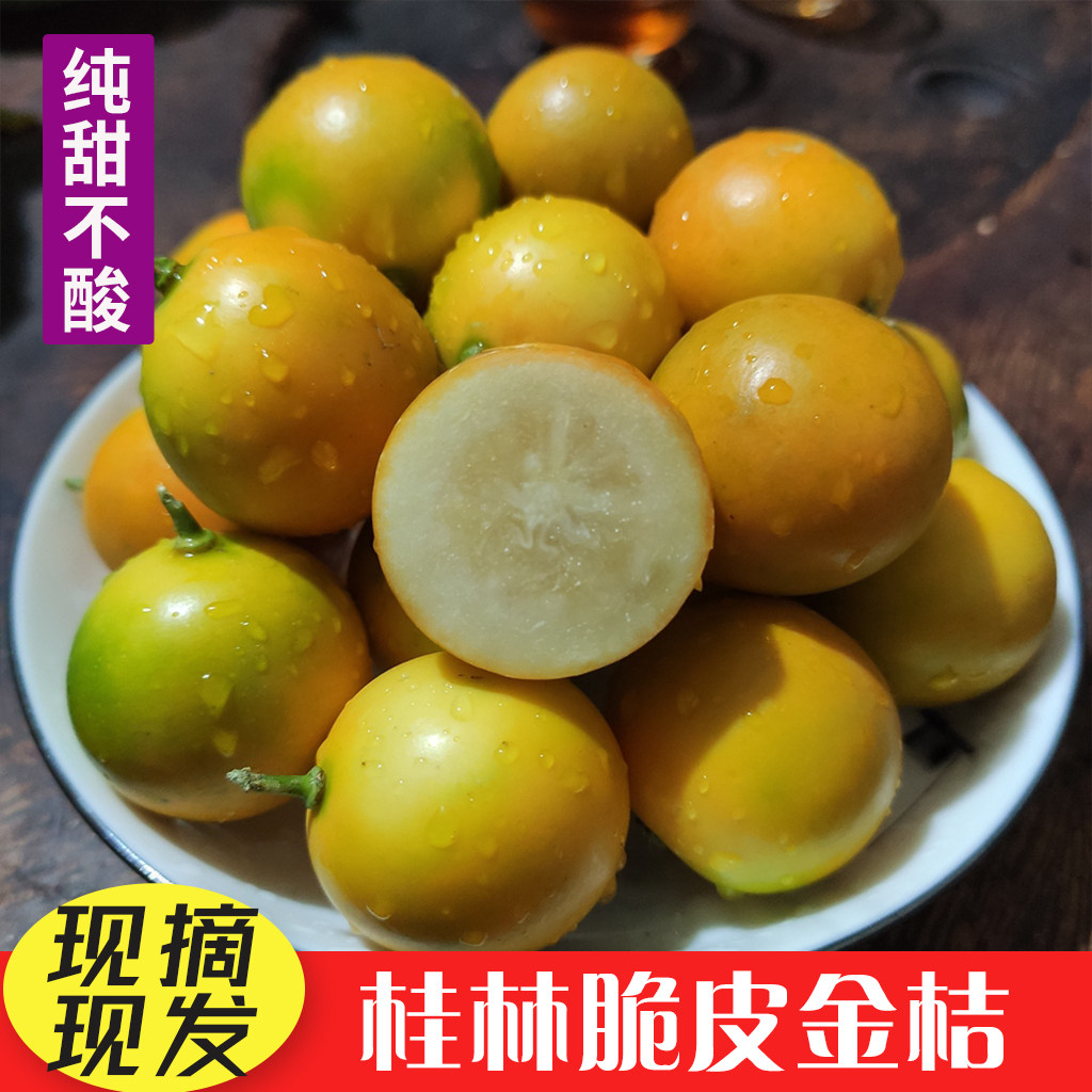广西脆皮金桔新鲜水果桔子应季现摘甜蜜小金柑桔金橘二代金桔纯甜