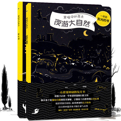 全套2册黑暗中的亮点 夜光城 夜游大自然 佩特拉巴拉提科瓦 幼儿启蒙认知绘本图画书 亲子睡前互动 发现黑夜中的大自然 石油工业