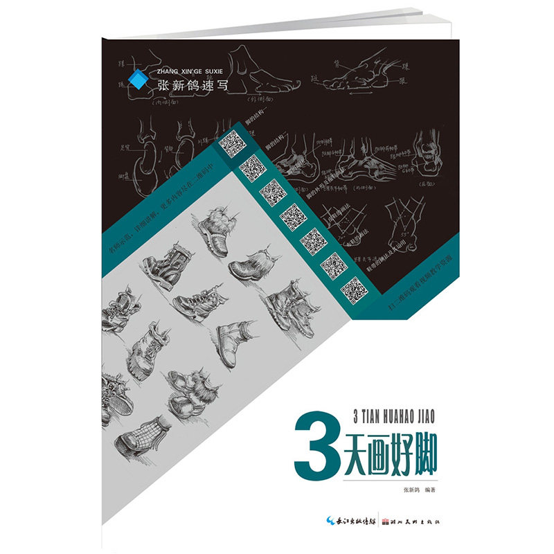 新鸽编著 初学者快速入门速写 自学零基础素描教材,教程 详细步骤讲解