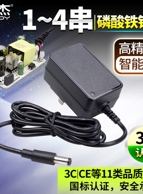 耐杰 磷酸铁锂电池充电器专用 2串4串3.2V6V6.4V12V伏蓄电池单体