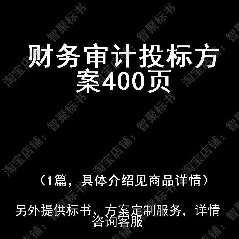 财务审计投标书文件方案制作范本模板