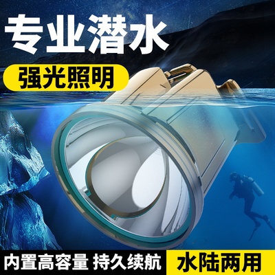 迅猛虎专业潜水头灯夜钓深潜赶海