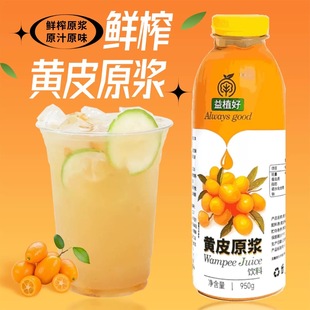 益植好黄皮原浆950g老盐爆柠茶水果茶奶茶饮品店专用原材料黄皮汁
