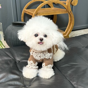 五只小白熊宠物衣服秋冬新款蕾丝针织加绒毛衣打底衫狗狗猫咪内搭