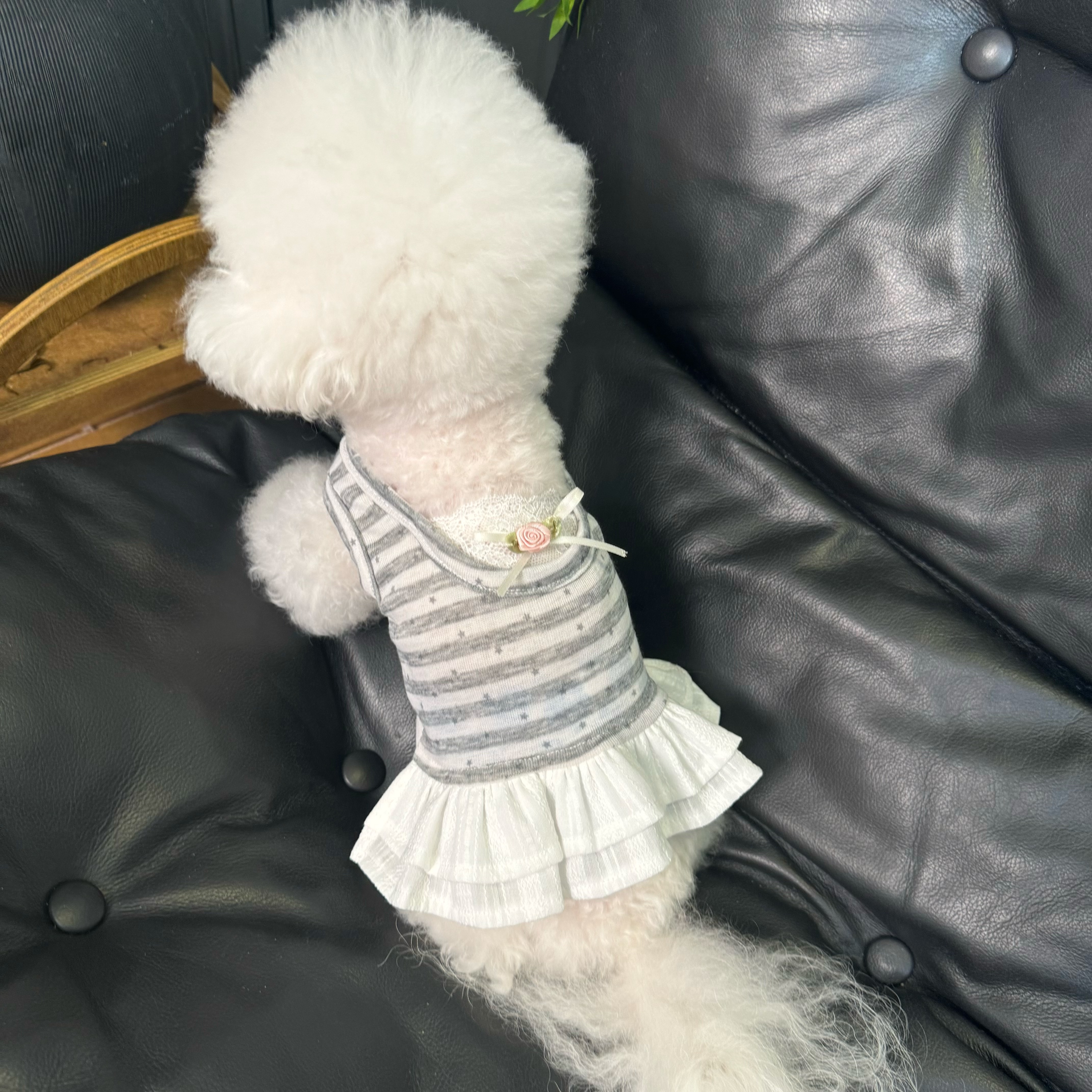 五只小白熊原创宠物衣服夏款情侣装裙子背心狗狗猫咪居家薄款衣服