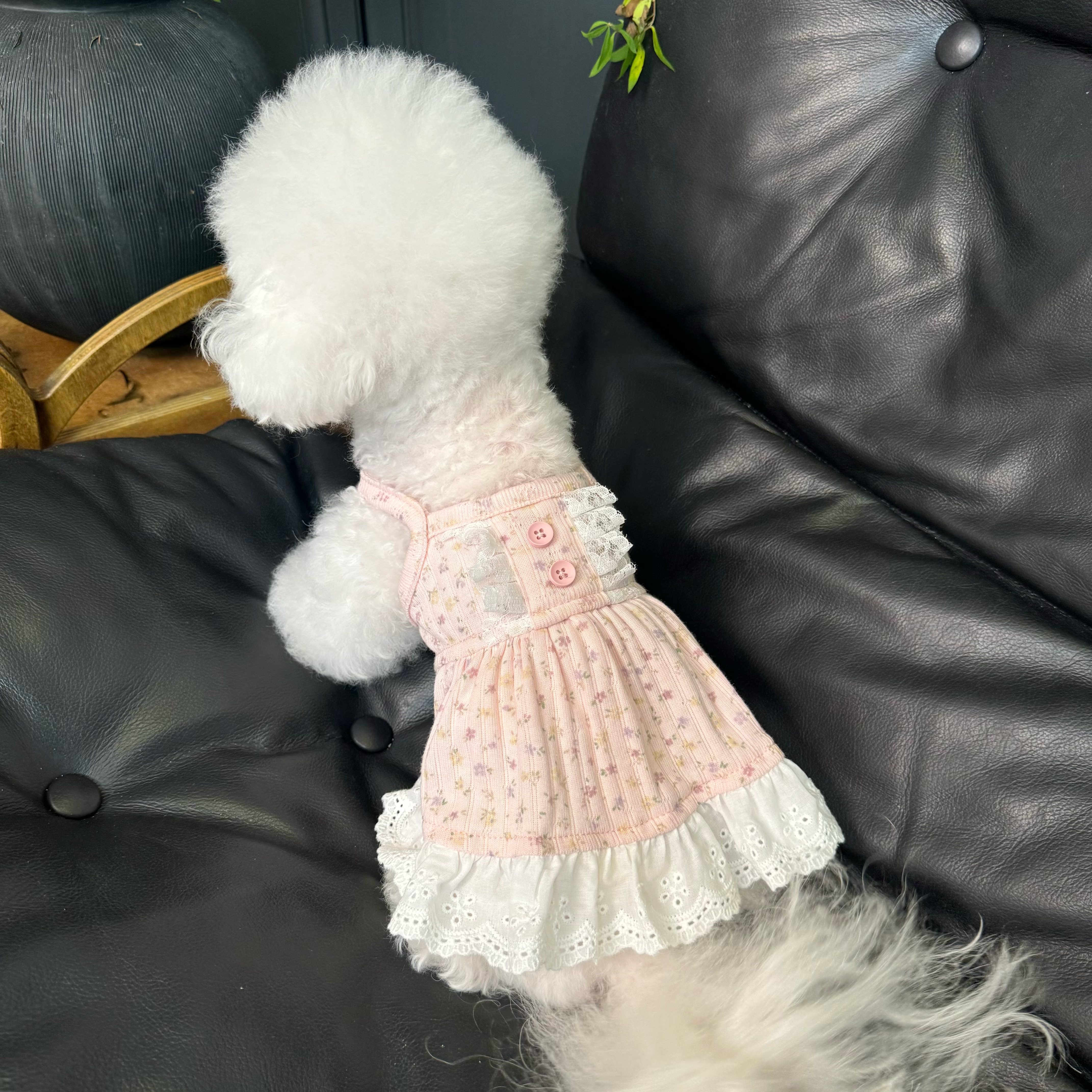 五只小白熊原创宠物衣服夏款吊带碎花裙子狗狗猫咪居家薄款公主裙