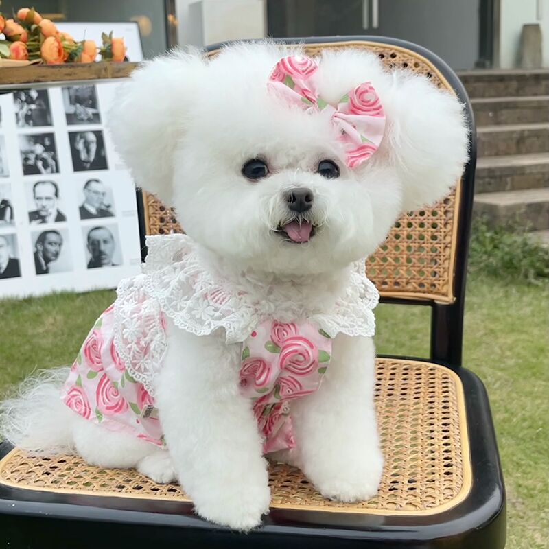 春夏新款蕾丝碎花牵引扣公主裙