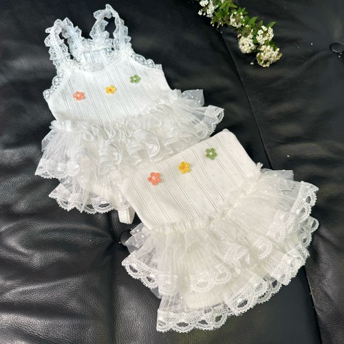 五只小白熊原创宠物衣服春夏新白色蕾丝婚纱裙包肚衣狗狗猫咪裤子