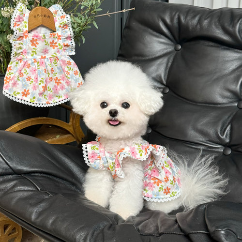 五只小白熊原创宠物衣服碎花飞袖公主裙狗狗猫咪夏日薄款防晒裙子