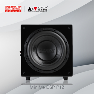 P12 EARTHQUAKE DSP MINIME 美国大地震烤漆低音炮 大地震