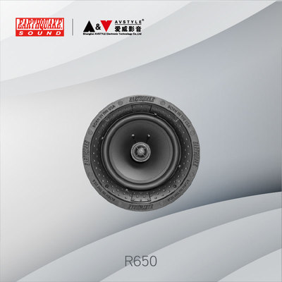 大地震美国吸顶式扬声器