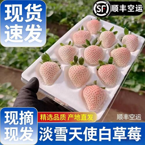 顺丰京东送货上门白草莓顺丰空运