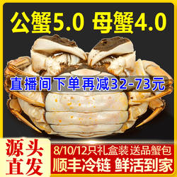 [活蟹]特大10只大闸蟹鲜活螃蟹全母蟹官方旗舰店阳澄礼盒河蟹湖鲜