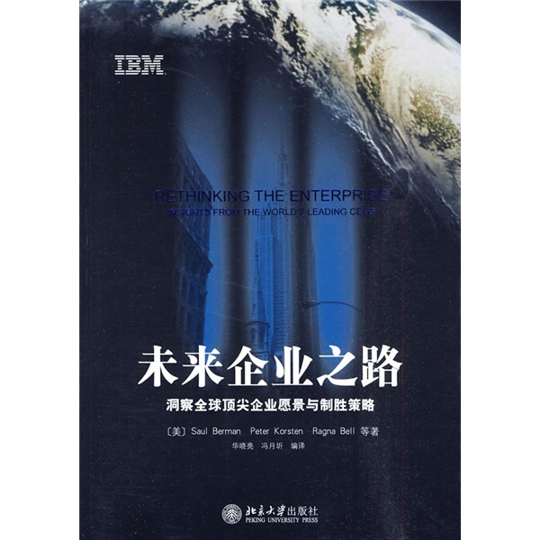未来企业之路 洞察全球*企业愿景与制胜策略9787301170304