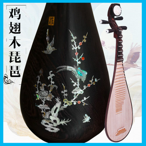 民音鸡翅木红木琵琶琴儿童中号成人琵琶乐器初学入门演奏琵笆乐器 - 封面