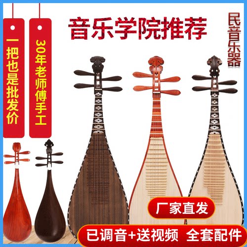 琵琶乐器初学入门考级红木儿童