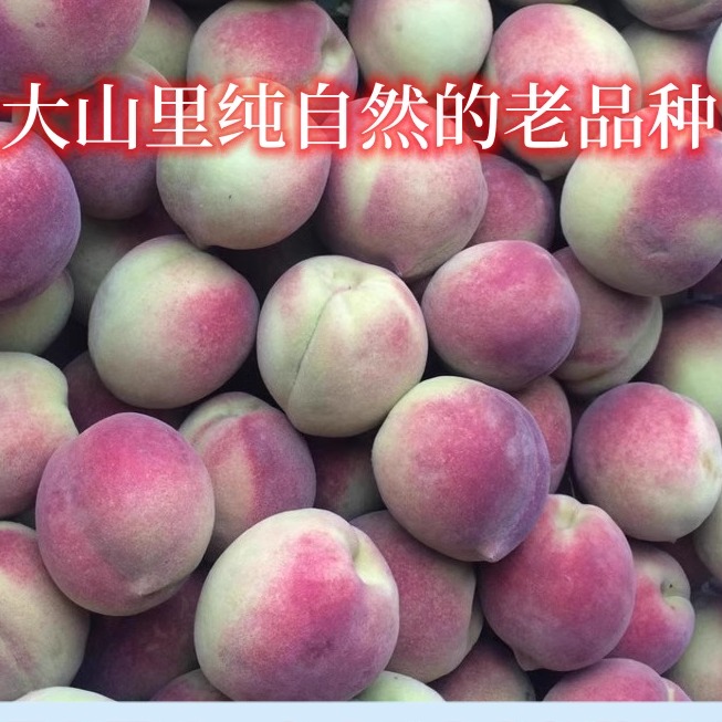毛桃脆甜山东大山新鲜