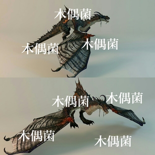 非实物C244 西方恶龙飞龙怪物骨骼绑定带动作文件模型 c4d fbx格式