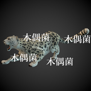 非实物C415 模型骨骼绑定带动作白花豹动物文件 c4d fbx格式