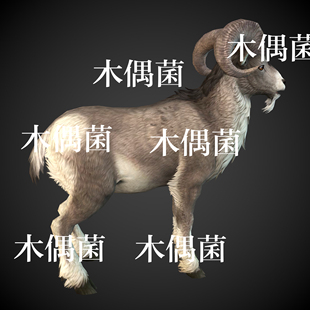非实物C492 动物山羊骨骼绑定带游戏动作文件 c4d fbx格式