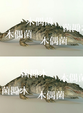 c4d fbx格式鳄鱼爬行动物骨骼绑定带动作文件模型 非实物C64