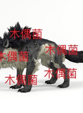 c4d fbx格式骨骼绑定动物恶狼猛兽怪物动作文件 非实物C931