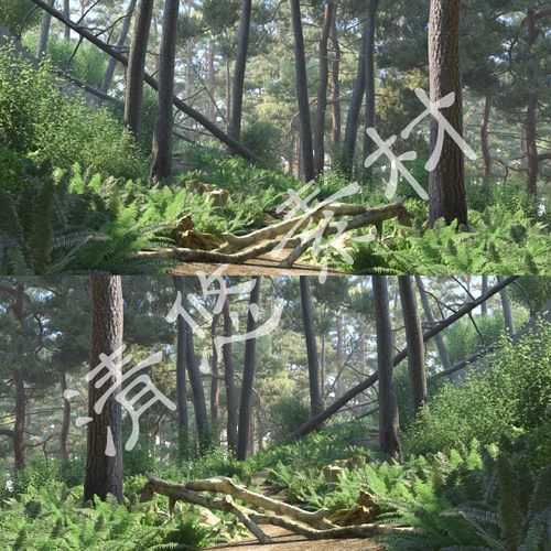 3dmax森林场景模型 写实户外植物树木 小树林 园林公园fbx格式108