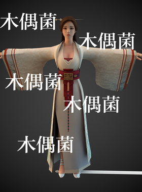 c4d fbx obj格式骨骼绑定古风古代美女人物模型文件 非实物C421