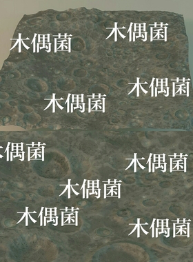 8K地形地貌贴图obj fbx格式模型文件月球外星行星地表 非实物C10