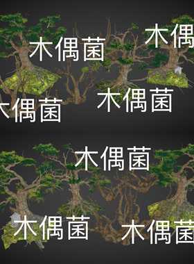 3dmax c4d fbx obj 3ds格式远景古树植物树木装饰文件 非实物C767