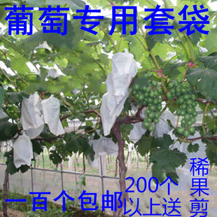 葡萄袋子防虫袋露天葡萄套袋专用果袋包邮葡萄袋纯木浆纸