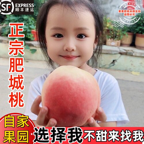 肥城桃现摘果园脆甜水蜜桃佛桃