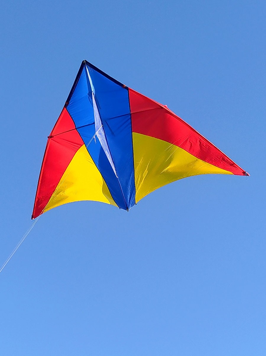 青云鸟风筝王侉子微风成人544航空软伞布碳素杆大型三角易飞风筝