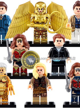 超级英雄DC神奇女侠系列WM6100豹女小颗粒积木人仔男孩子拼装玩具