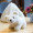 Standing polar bear 18cm+set of snow holes (with a diameter of 31cm)