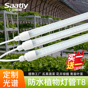 led植物补光灯组培防水T8全光谱多肉专用上色仿太阳光生长灯管条