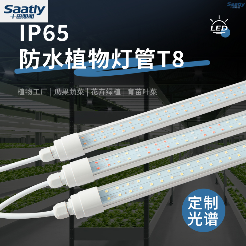 IP65防水灯管生长灯防水多肉灯管