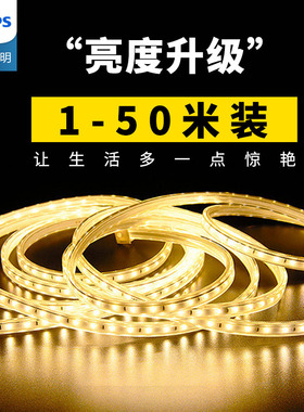 飞利浦灯带led灯条客厅吊顶装饰光源超亮220v灯条贴片软长条线灯