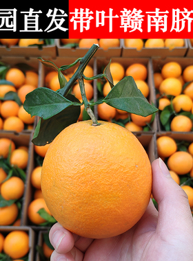 正宗赣南脐橙江西新鲜带叶橙子赣州产地直发安远甘南戆南挤橙齐橙