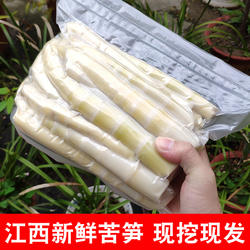 苦笋新鲜江西苦竹笋赣南客家赣州信丰于都安远春笋非四川广西广东